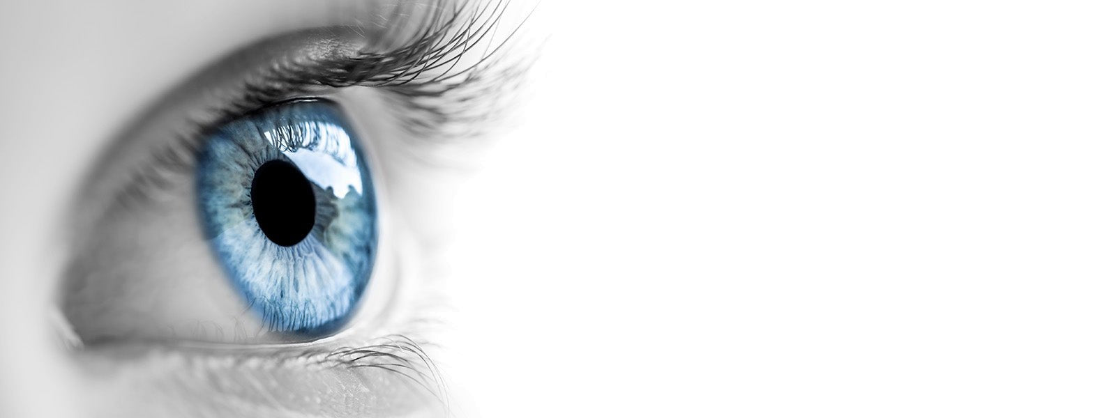 blue eye on white background