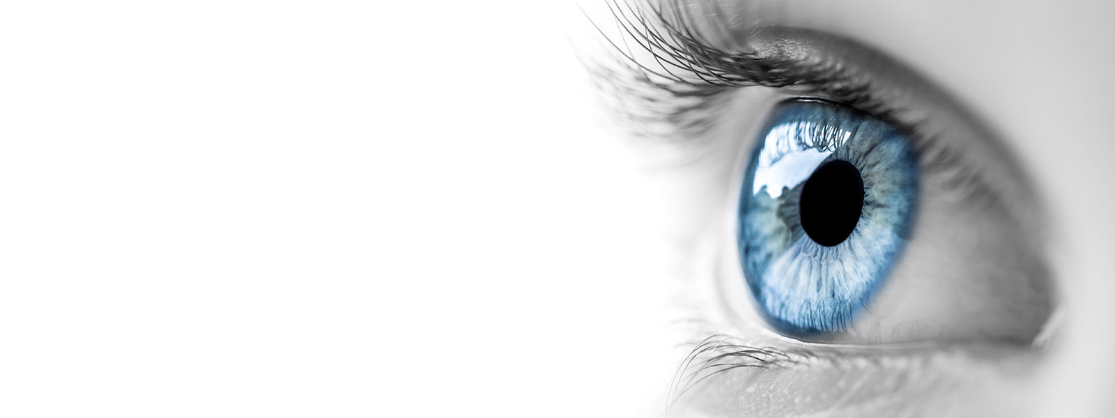 Close-up blue human eye banner image for Wizard Research dry eye health FAQ section